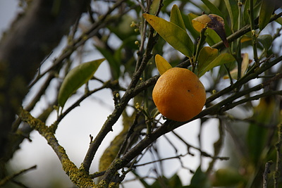DSC04903_t.JPG