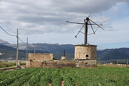 DSC05050_t.JPG