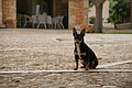 DSC04097_t.JPG