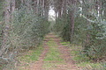 DSC04101_t.JPG