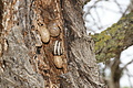 DSC04107_t.JPG
