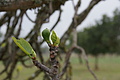 Bernhard Saalfeld - DSC04115.JPG