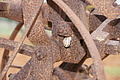 Bernhard Saalfeld - DSC04116.JPG
