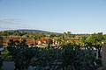 Bernhard Saalfeld - DSC04135.JPG