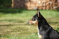 Bernhard Saalfeld - DSC04145.JPG