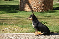 Bernhard Saalfeld - DSC04146.JPG