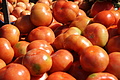 Bernhard Saalfeld - DSC04160.JPG