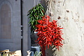 Bernhard Saalfeld - DSC04162.JPG