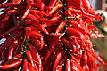 Bernhard Saalfeld - DSC04165.JPG
