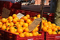 Bernhard Saalfeld - DSC04168.JPG