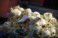 Bernhard Saalfeld - DSC04169.JPG