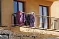 Bernhard Saalfeld - DSC04189.JPG