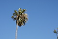 Bernhard Saalfeld - DSC04228.JPG