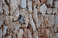 Bernhard Saalfeld - DSC04265.JPG