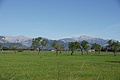 Bernhard Saalfeld - DSC04292.JPG