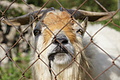 Bernhard Saalfeld - DSC04302.JPG