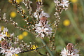 Bernhard Saalfeld - DSC04305.JPG