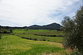Bernhard Saalfeld - DSC04311.JPG