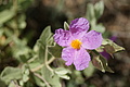 Bernhard Saalfeld - DSC04316.JPG