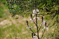 Bernhard Saalfeld - DSC04317.JPG