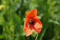 Bernhard Saalfeld - DSC04366.JPG