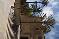 Bernhard Saalfeld - DSC04404.JPG