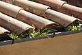 Bernhard Saalfeld - DSC04411.JPG