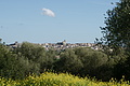 Bernhard Saalfeld - DSC04433.JPG