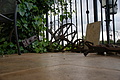 Bernhard Saalfeld - DSC04457.JPG
