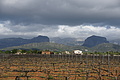 Bernhard Saalfeld - DSC04462.JPG