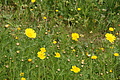 Bernhard Saalfeld - DSC04514.JPG