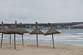 Bernhard Saalfeld - DSC04537.JPG