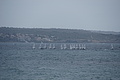 Bernhard Saalfeld - DSC04564.JPG