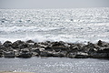 Bernhard Saalfeld - DSC04568.JPG