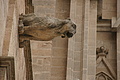 Bernhard Saalfeld - DSC04587.JPG