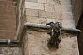 Bernhard Saalfeld - DSC04595.JPG