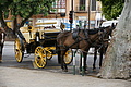 Bernhard Saalfeld - DSC04636.JPG