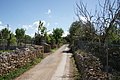 Bernhard Saalfeld - DSC04695.JPG