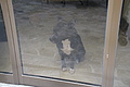 Bernhard Saalfeld - DSC04740.JPG
