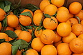 Bernhard Saalfeld - DSC04742.JPG