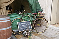 Bernhard Saalfeld - DSC04743.JPG