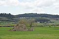Bernhard Saalfeld - DSC04750.JPG