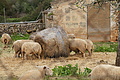 Bernhard Saalfeld - DSC04777.JPG