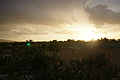 Bernhard Saalfeld - DSC04794.JPG