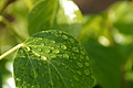 Bernhard Saalfeld - DSC04801.JPG
