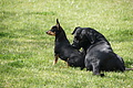 Bernhard Saalfeld - DSC04807.JPG