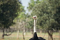 Bernhard Saalfeld - DSC04819.JPG