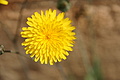 Bernhard Saalfeld - DSC04833.JPG
