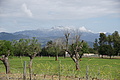 Bernhard Saalfeld - DSC04838.JPG