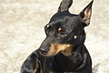 Bernhard Saalfeld - DSC04840.JPG